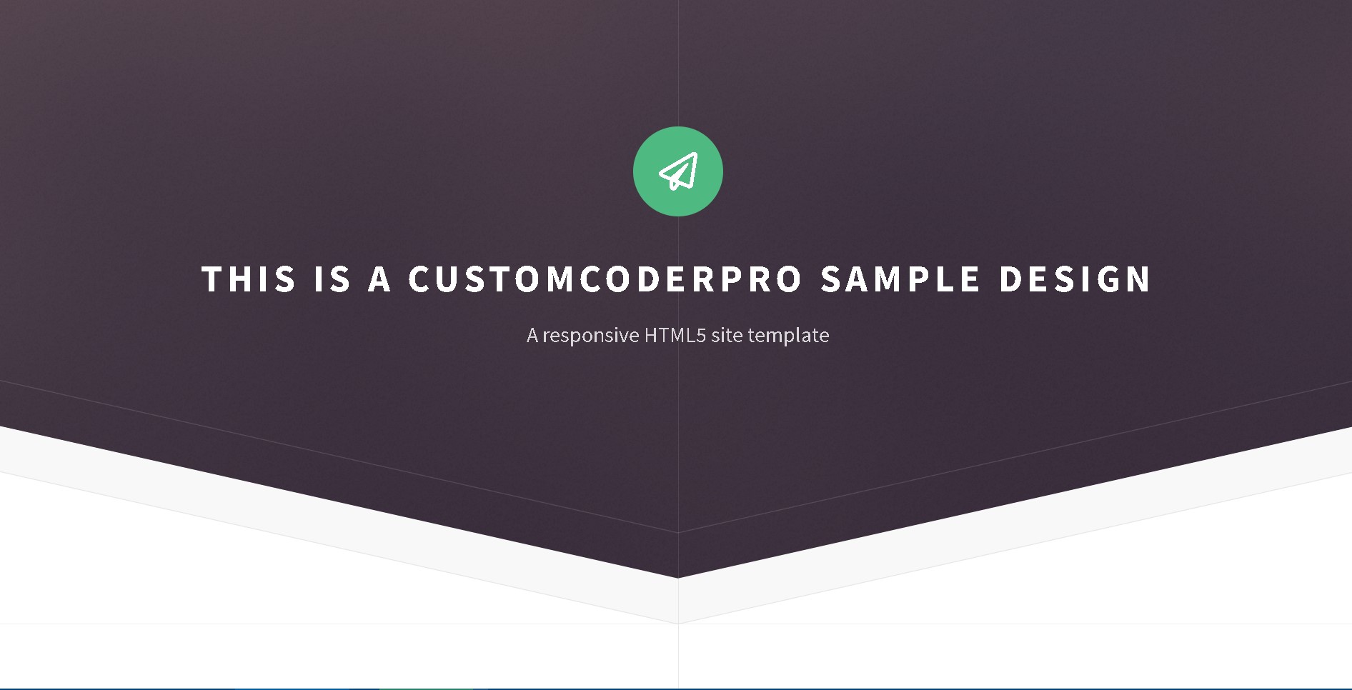 CustomCoderPro Sample