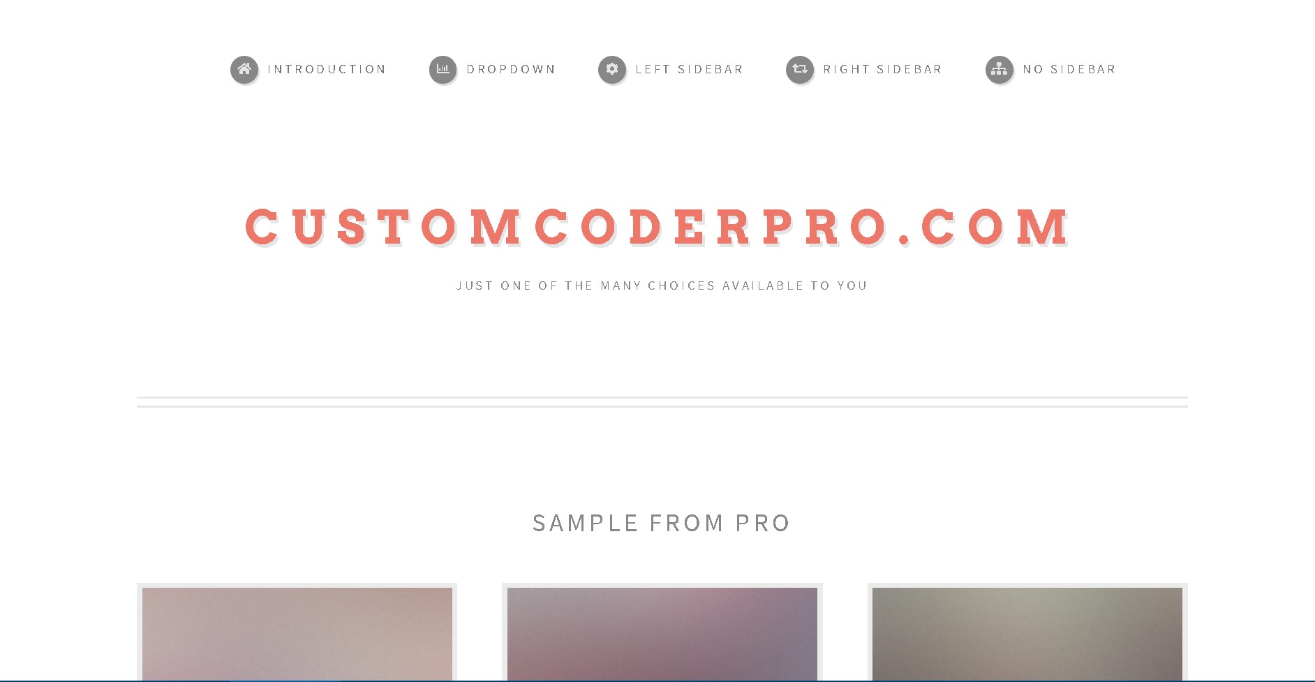 Custom Sample by Custom Coder Pro