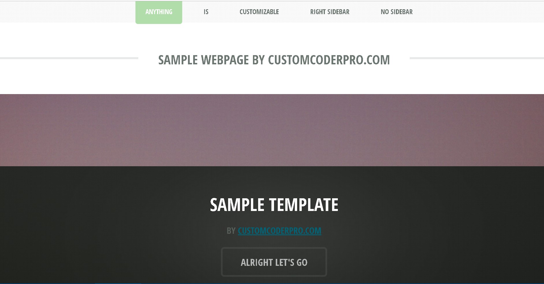 CustomCoderPro Webstie Sample